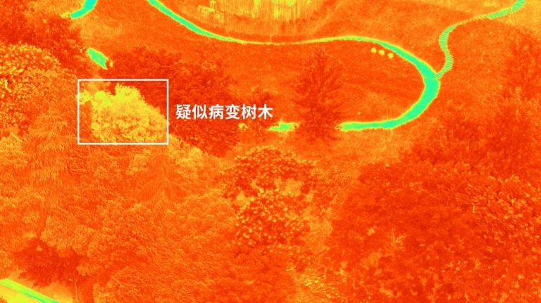 亚运